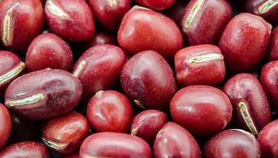 올해 파종할 콩·팥 주요 품종과 특성 알아보기